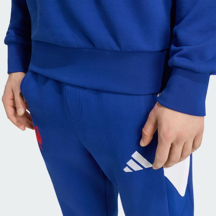 adidas adidas Frankreich Rugby Travel Sweatshirt, Funktionssweatshirt Herren - Mystery Ink - 1 | SportScheck