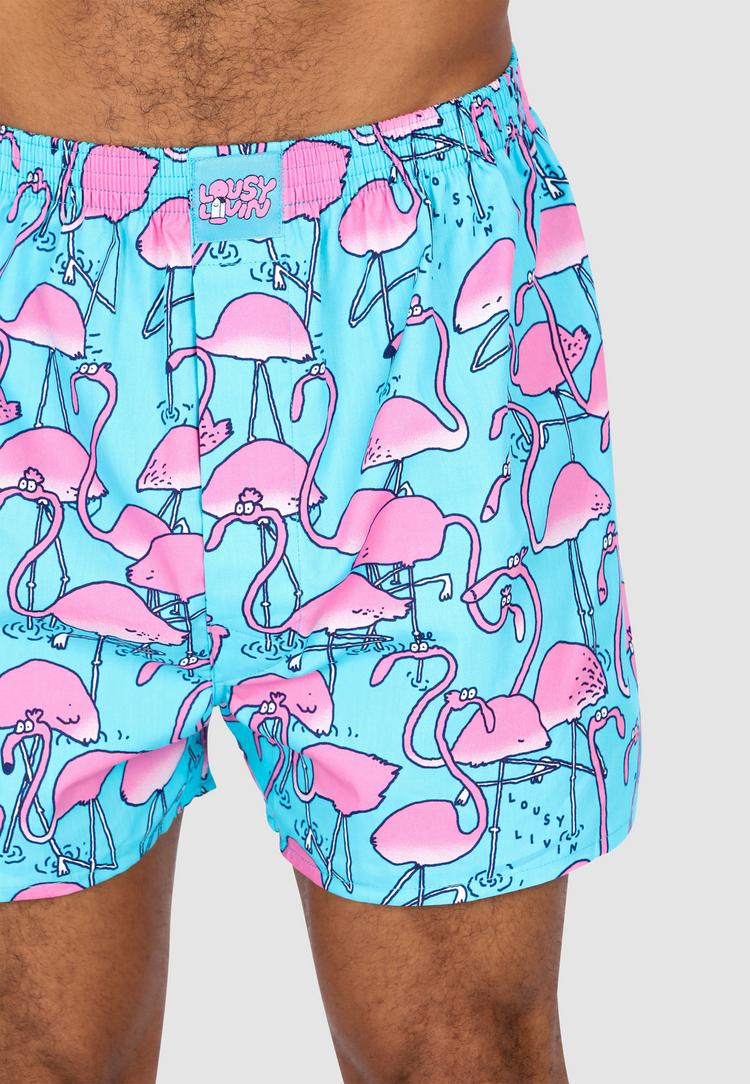 Lousy Livin Lousy Livin Dino & Greater Flamingo Unterhose Herren - Yucca - 6 | SportScheck