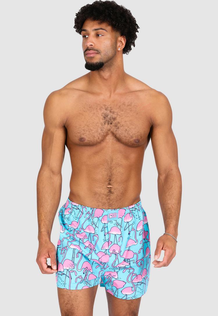 Lousy Livin Lousy Livin Dino & Greater Flamingo Unterhose Herren - Yucca - 0 | SportScheck