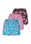 Lousy Livin Greater Flamingos Unterhose Herren - Florida