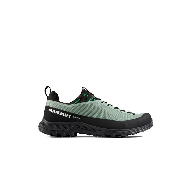 Mammut Mammut Alnasca IV Low Gore-Tex Zustiegsschuhe Herren - deep silver sage-pinea - 0 | SportScheck