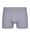 Falke Funktionsunterhose Herren - grey-heather (3757)