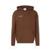 Mammut Base ML Mini Logo Fleecepullover Herren - soil