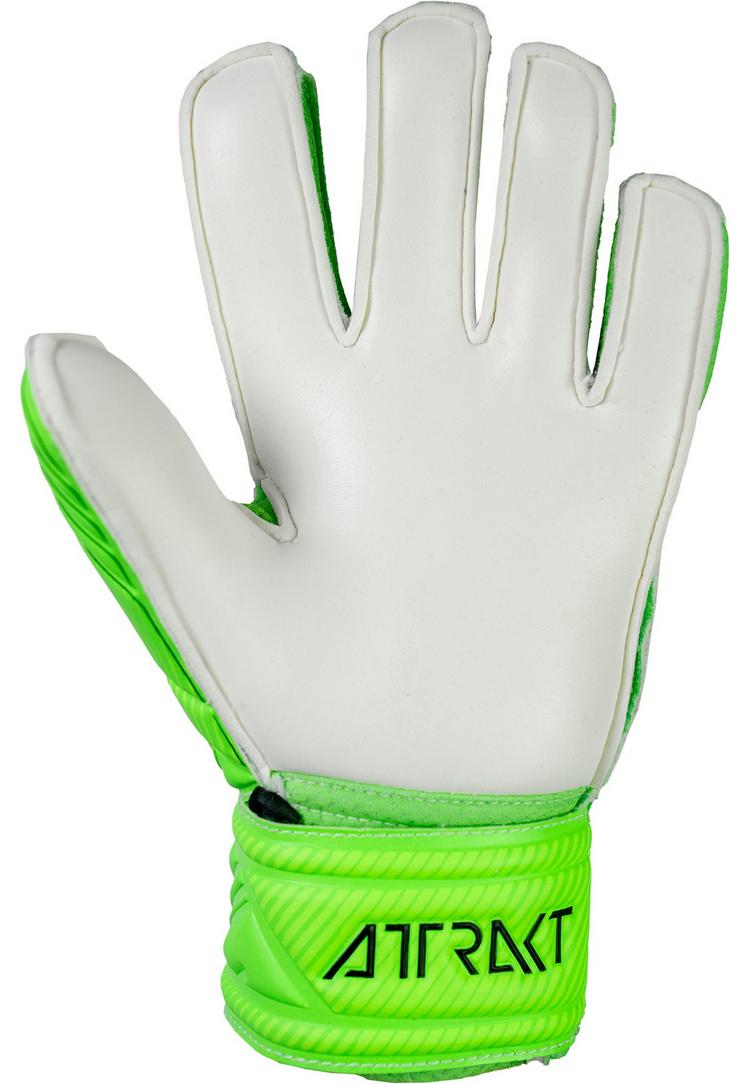 Reusch Reusch Attrakt Grip Finger Junior Torwarthandschuhe - 5007 green gecko - 1 | SportScheck