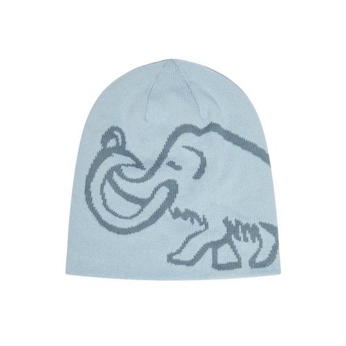 Mammut Logo Reversible Beanie