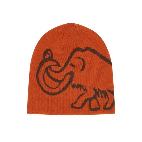 Mammut Logo Reversible Beanie