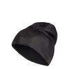 adidas Terrex Xploric CLIMAWARM Grafik M&uuml;tze Beanie - Carbon / White