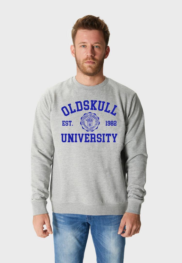 OLDSKULL OLDSKULL Retro University Sweatshirt Herren - Heather Grey - 0 | SportScheck