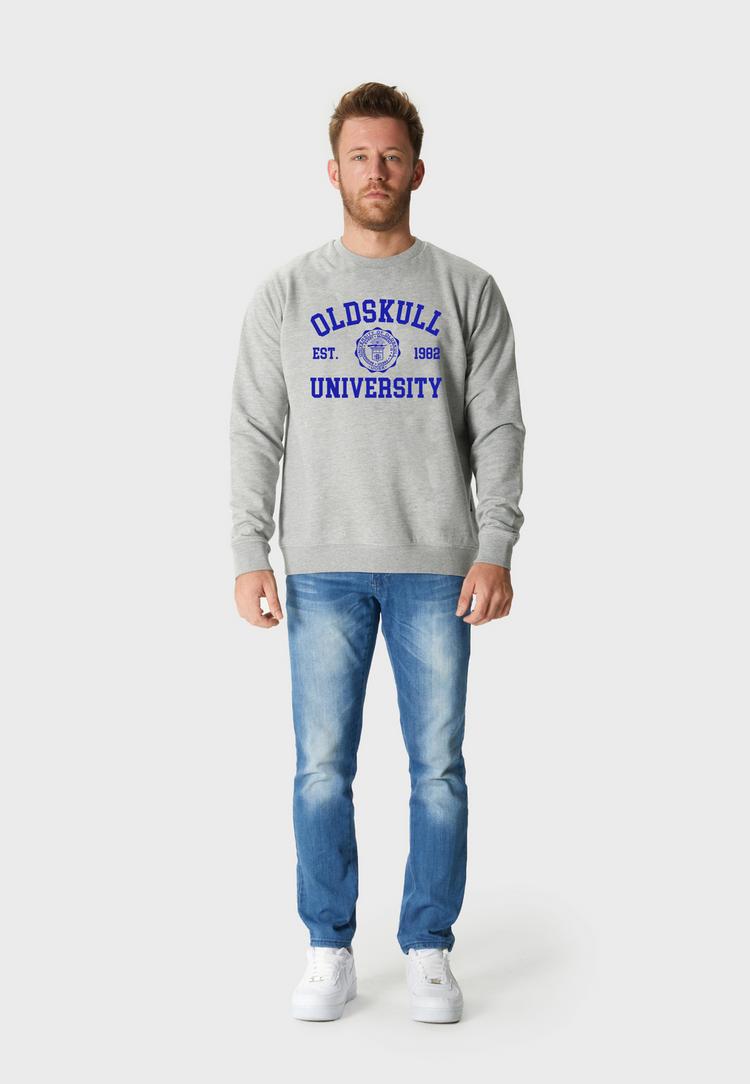 OLDSKULL OLDSKULL Retro University Sweatshirt Herren - Heather Grey - 1 | SportScheck