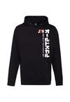OLDSKULL Asian Japan Flag Hoodie Herren - Black