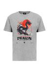OLDSKULL ASIAN DRAGON SPIRIT GRAPHIC Printshirt Herren - Heather Grey