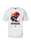 OLDSKULL ASIAN DRAGON SPIRIT GRAPHIC Printshirt Herren - White