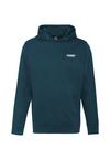 OLDSKULL Basic Osk Hoodie Herren - Dark green