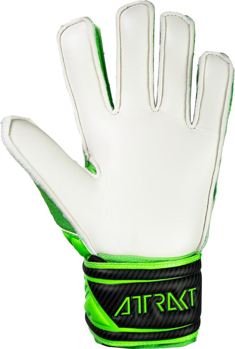 Reusch Reusch Attrakt Solid Junior Torwarthandschuhe - 5551 green gecko/black - 2 | SportScheck
