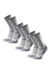 DANISH ENDURANCE Classic Hiking Crew Socken - hellgrau