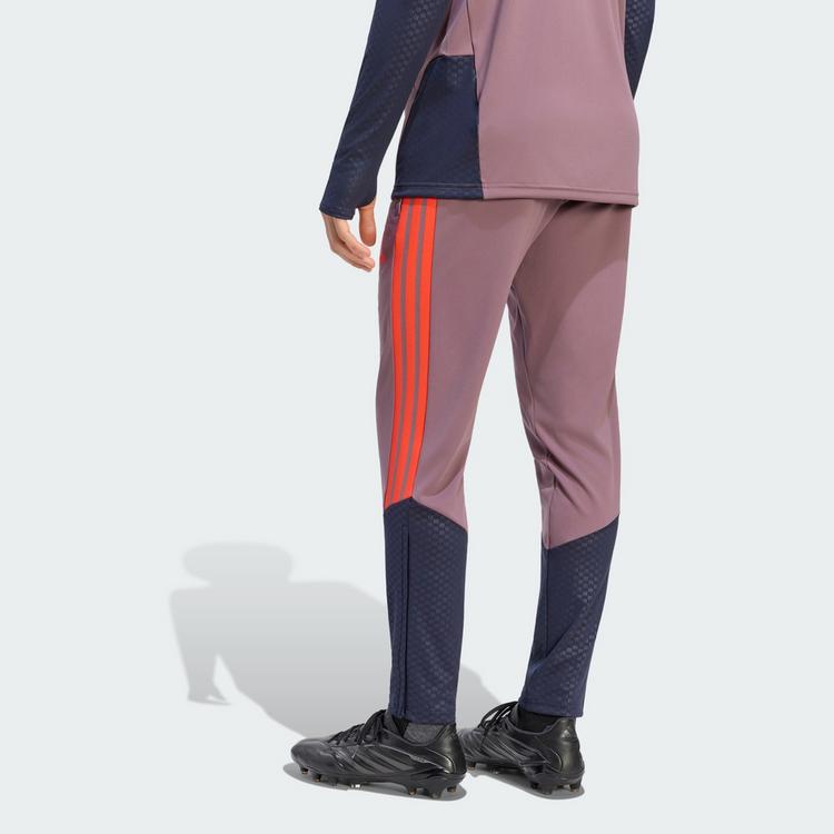 adidas adidas FC Bayern M&uuml;nchen 26/27 Cup Trainingshose Herren - Shadow Fig / Legend Ink - 1 | SportScheck