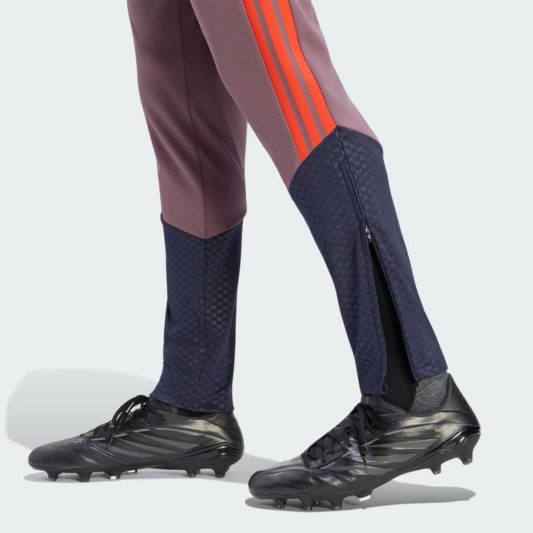 adidas adidas FC Bayern M&uuml;nchen 26/27 Cup Trainingshose Herren - Shadow Fig / Legend Ink - 1 | SportScheck