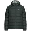 Jack Wolfskin WILD PASS DOWN HOODY W RDS Daunenjacke Damen - sago palm