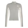 adidas Tempo 3-Streifen lang&auml;rmliges Radtrikot Funktionstop Herren - Grey / Alumina