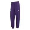 adidas MERCEDES-AMG PETRONAS FORMULA 1 TEAM Trainingshose Herren - Dark Purple