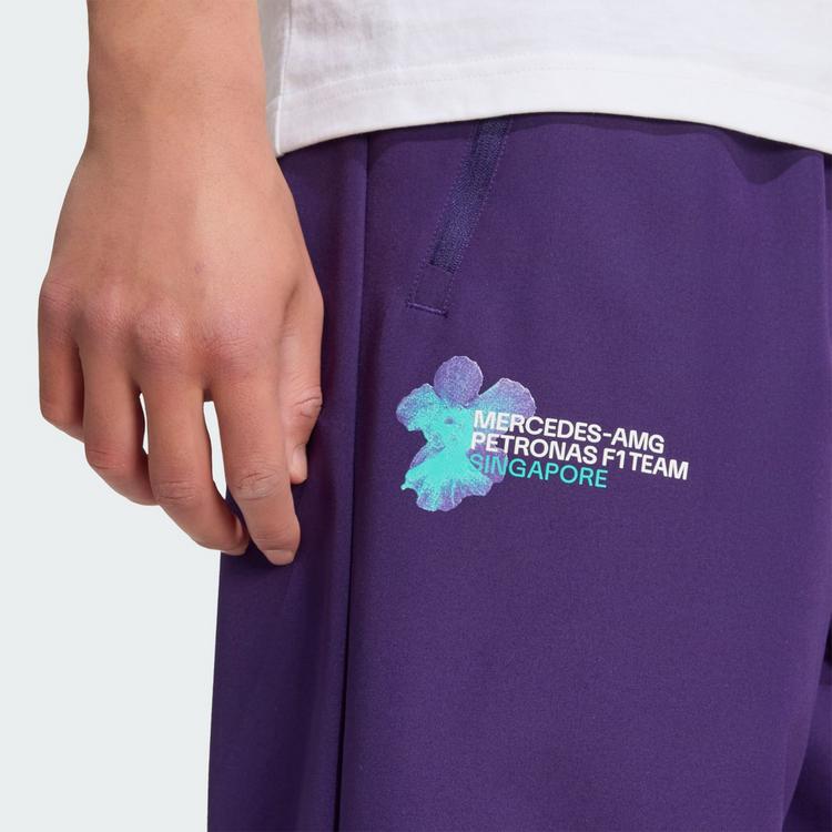 adidas adidas MERCEDES-AMG PETRONAS FORMULA 1 TEAM Trainingshose Herren - Dark Purple - 0 | SportScheck