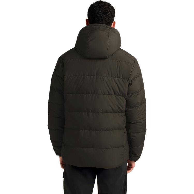 Jack Wolfskin Jack Wolfskin COLONIUS JKT M Daunenjacke Herren - obsidian moss - 1 | SportScheck