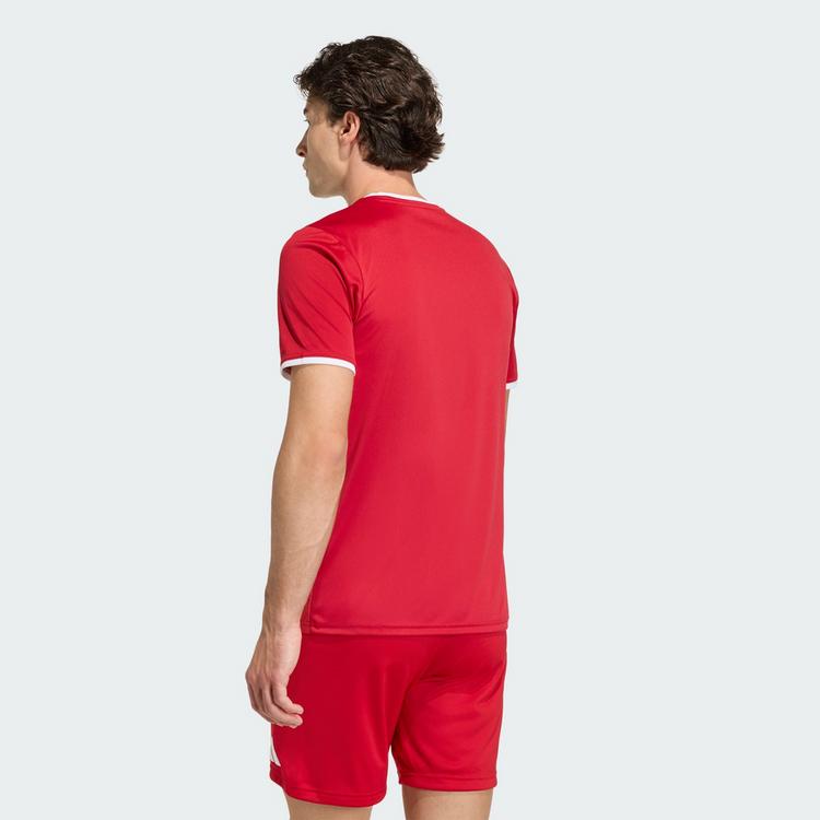 adidas adidas Entrada26 Grafik-Trikot Trikot Herren - Team Power Red 2 / White - 1 | SportScheck