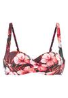 Lascana B&uuml;gel-Bandeau-Bikini-Top Bikini Oberteil Damen - oliv-orange
