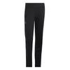adidas Terrex Xperior Cross-Country Softshellhose Herren - Black