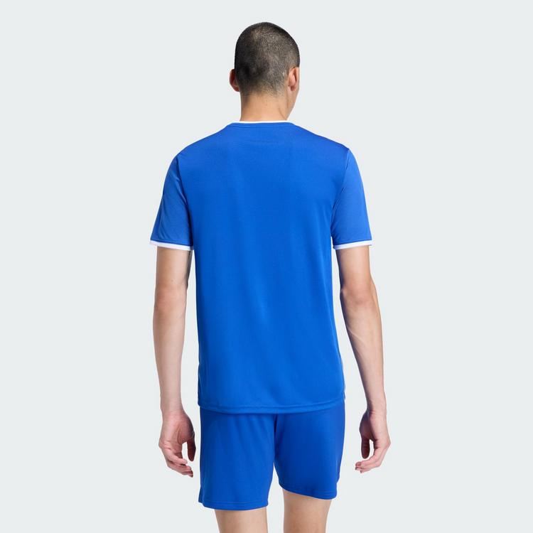 adidas adidas Entrada26 Grafik-Trikot Trikot Herren - Royal Blue / White - 1 | SportScheck