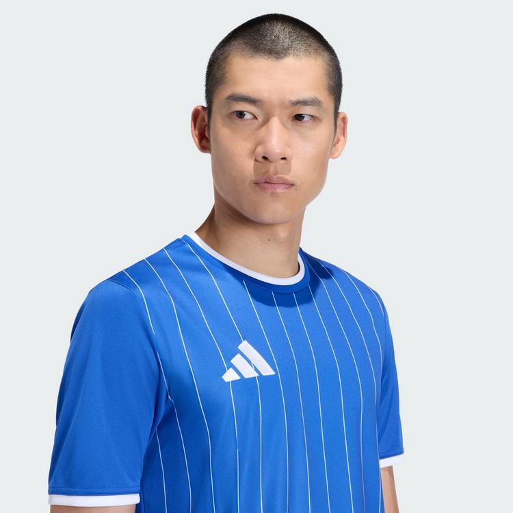 adidas adidas Entrada26 Grafik-Trikot Trikot Herren - Royal Blue / White - 1 | SportScheck