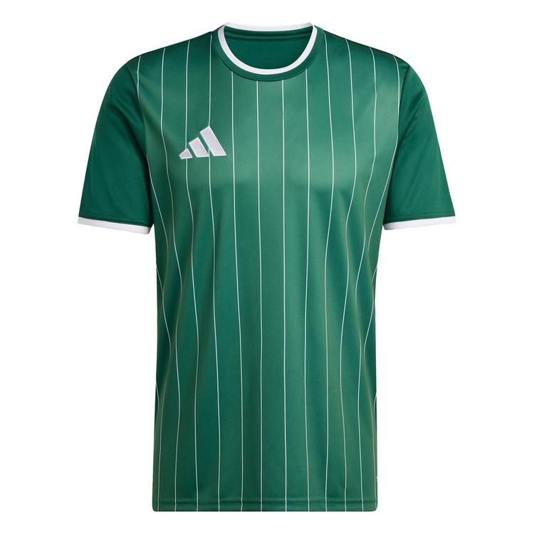 adidas adidas Entrada26 Grafik-Trikot Trikot Herren - Team Dark Green / White - 0 | SportScheck