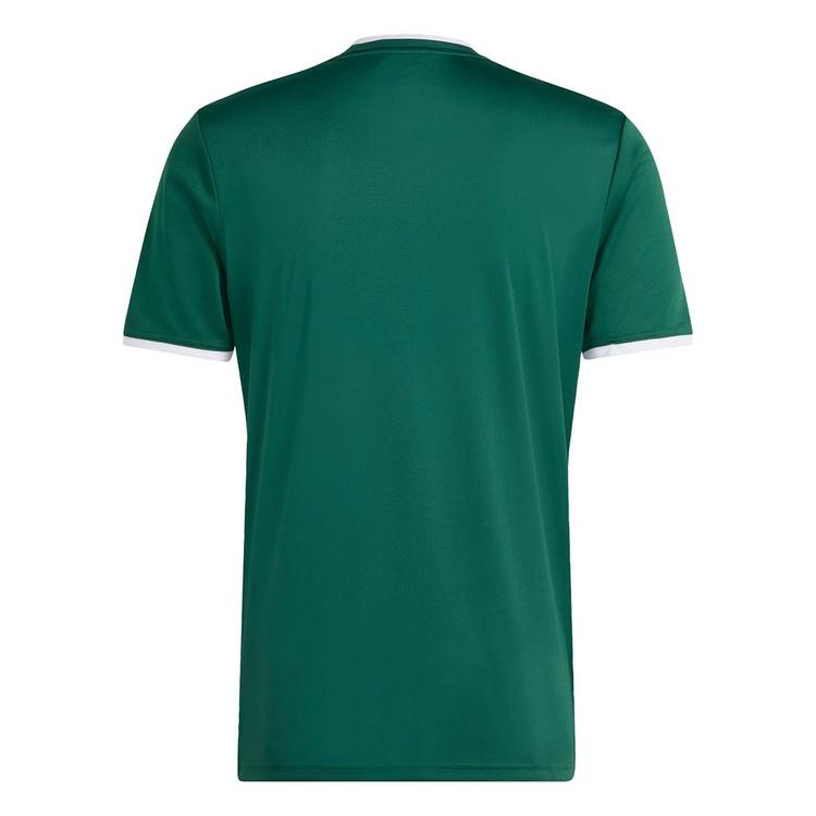 adidas adidas Entrada26 Grafik-Trikot Trikot Herren - Team Dark Green / White - 0 | SportScheck