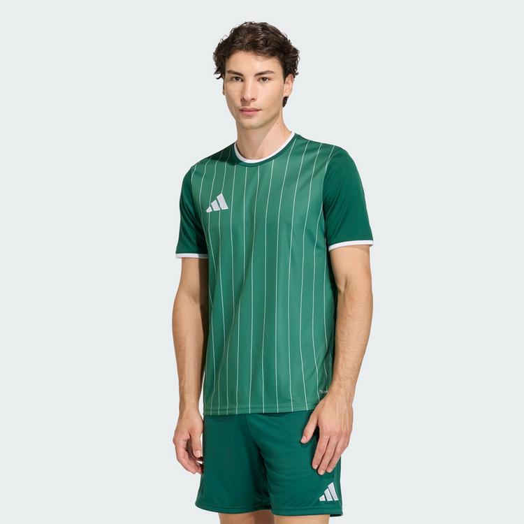adidas adidas Entrada26 Grafik-Trikot Trikot Herren - Team Dark Green / White - 0 | SportScheck
