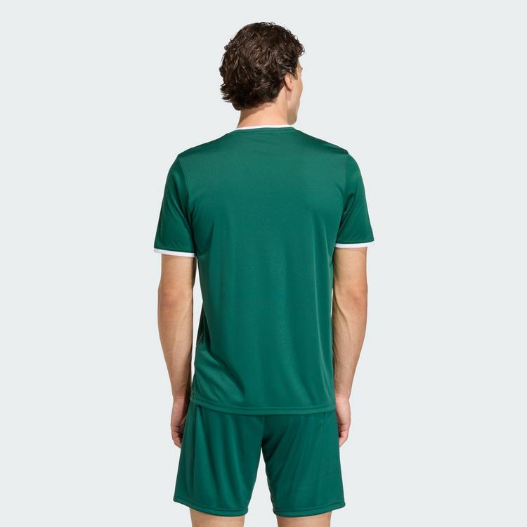 adidas adidas Entrada26 Grafik-Trikot Trikot Herren - Team Dark Green / White - 1 | SportScheck
