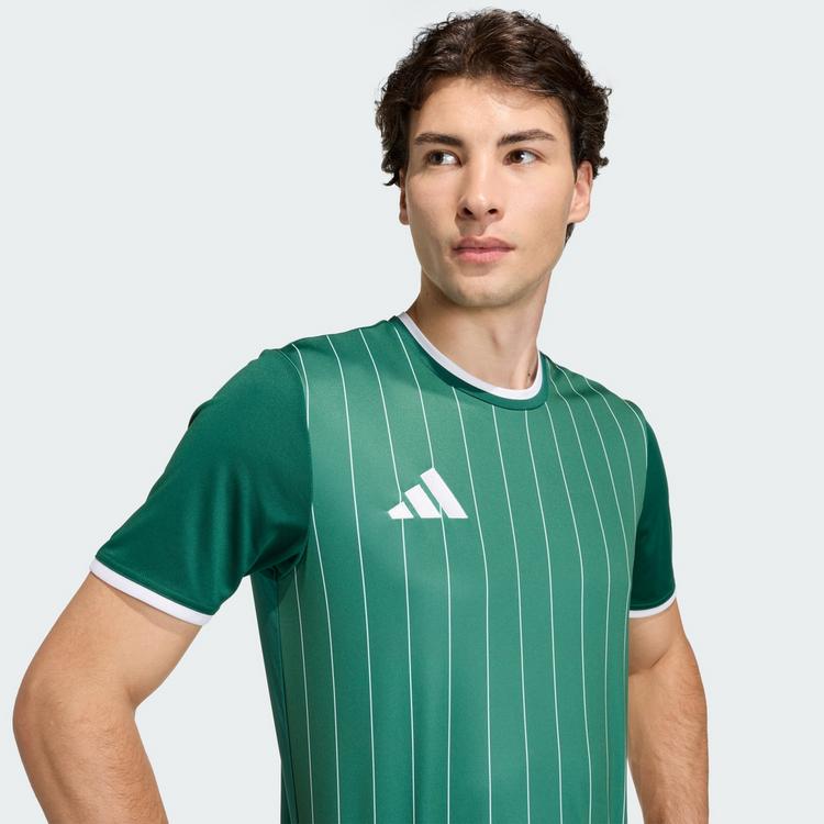 adidas adidas Entrada26 Grafik-Trikot Trikot Herren - Team Dark Green / White - 2 | SportScheck