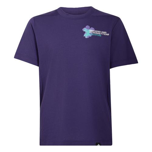 adidas MERCEDES-AMG PETRONAS FORMULA 1 TEAM T-Shirt Kinder