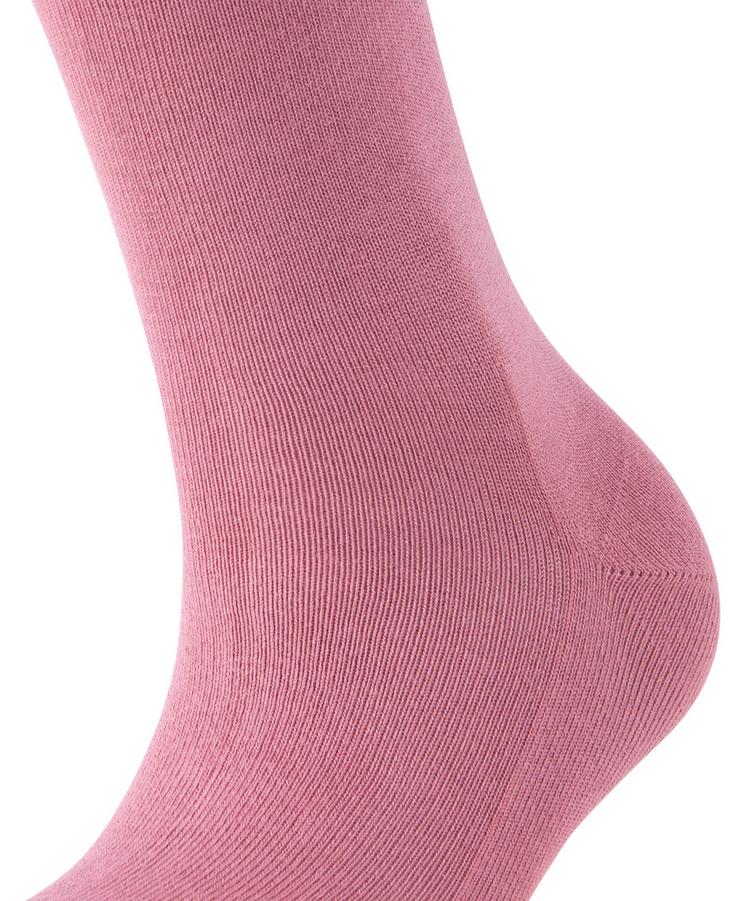 Falke Falke Family Socken Damen - coppercoin (8937) - 1 | SportScheck