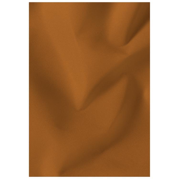 Jack Wolfskin Jack Wolfskin JASPER 2L Hardshelljacke Herren - autumn leaves - 12 | SportScheck