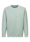John Devin Sweatshirt Sweatshirt Herren - mint
