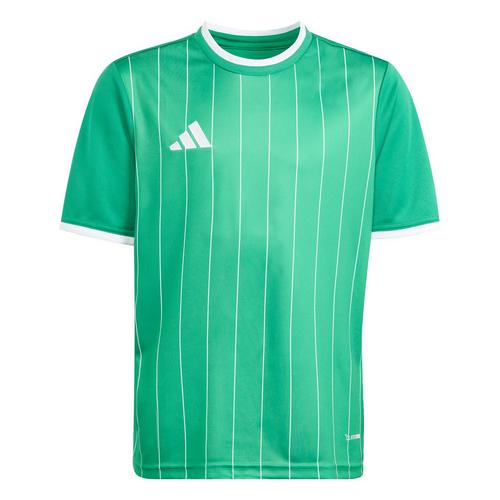 adidas Entrada 26 Kids Grafik Trikot T-Shirt Kinder