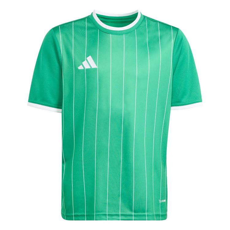 adidas adidas Entrada 26 Kids Grafik Trikot T-Shirt Kinder - Team Green / White - 0 | SportScheck