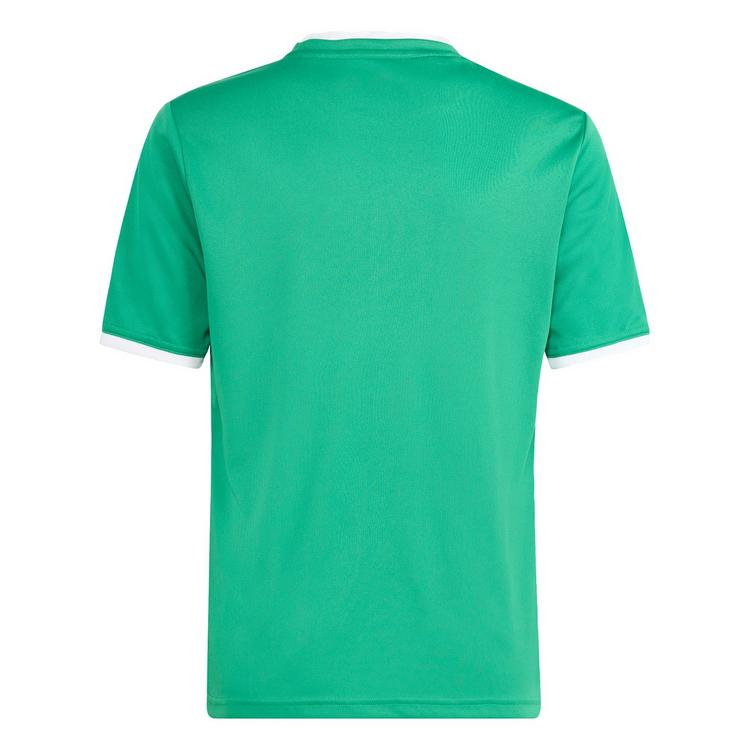 adidas adidas Entrada 26 Kids Grafik Trikot T-Shirt Kinder - Team Green / White - 0 | SportScheck
