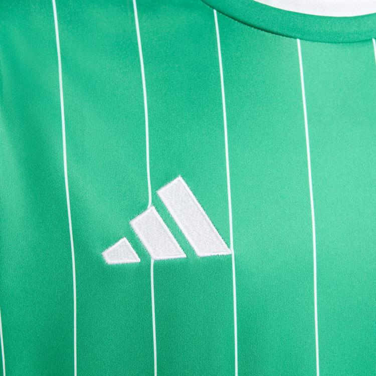 adidas adidas Entrada 26 Kids Grafik Trikot T-Shirt Kinder - Team Green / White - 1 | SportScheck