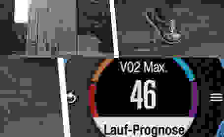 Grafische Darstellung von VO2 Max.