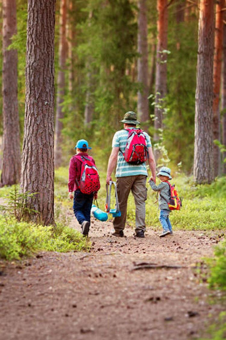 Ein Papa wandert mit seinen beiden Kindern durch den Wald