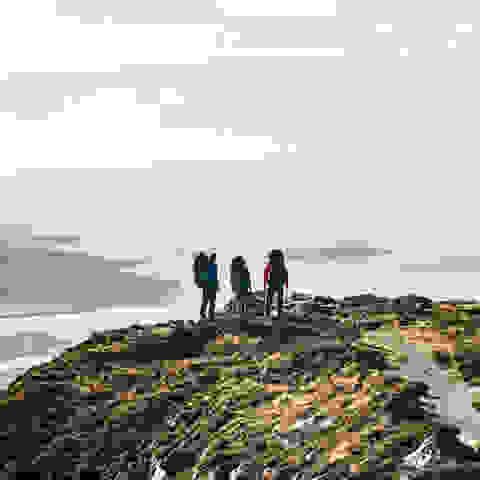 Eine Gruppe Wanderer blickt auf einen Fjord hinaus.