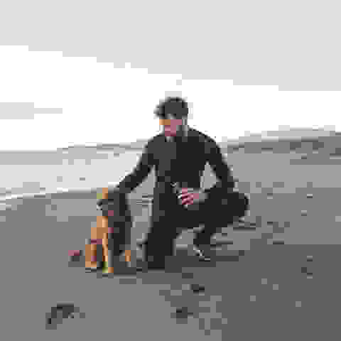 Mit Hund joggen am Strand