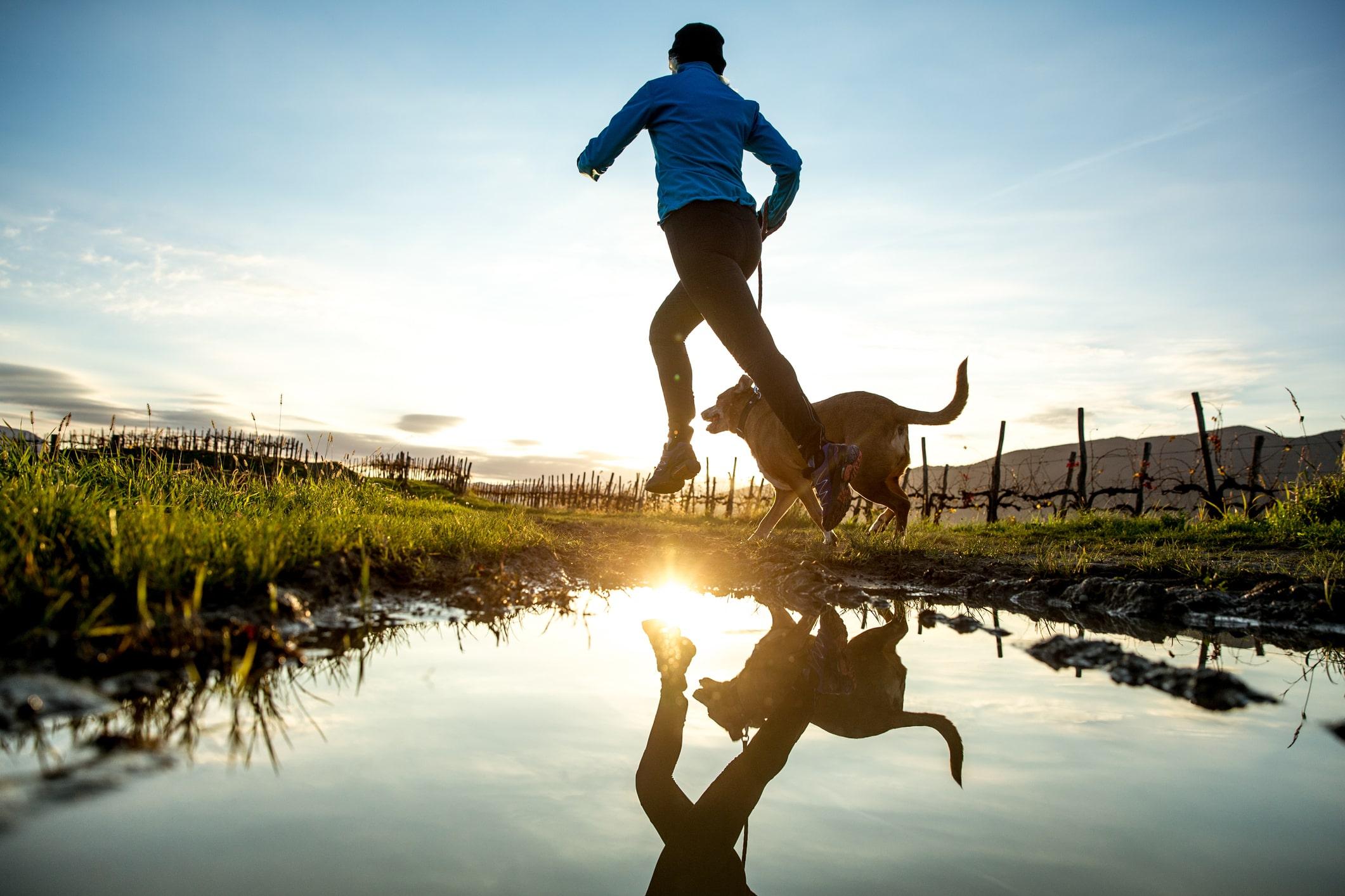 Ein Läufer joggt mit seinem Hund an einem Teich entlang