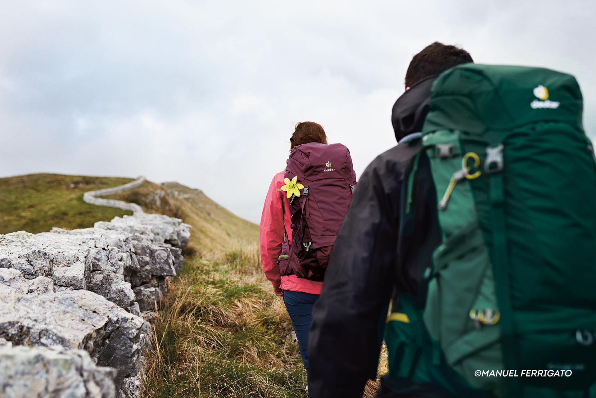 Ein Mann und eine Frau wandern mit Rucks&auml;cken auf dem R&uuml;cken durch eine gr&uuml;ne Landschaft.